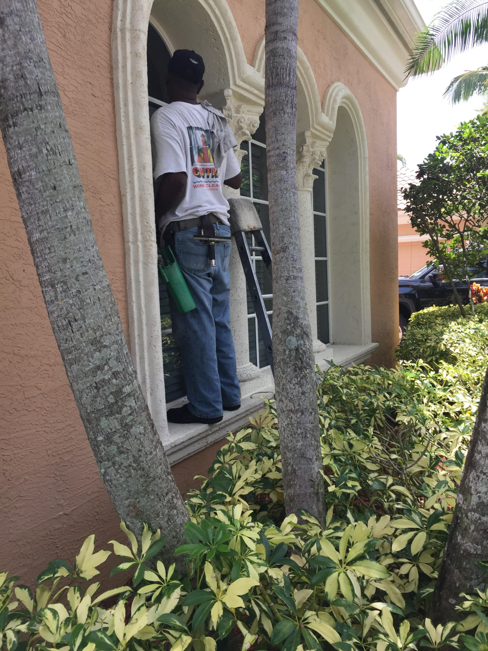 Professional Window Cleaning